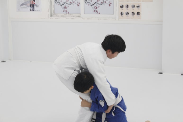 팀루츠 이미지