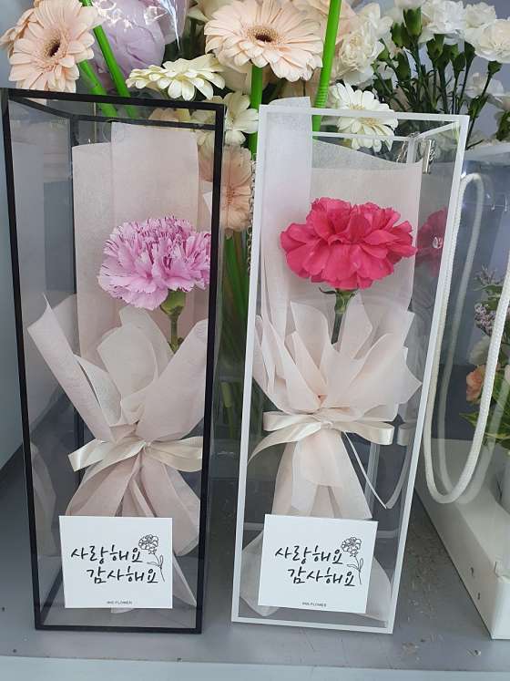 아이리스플라워 이미지