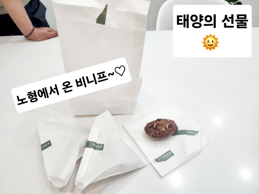 비니프 이미지