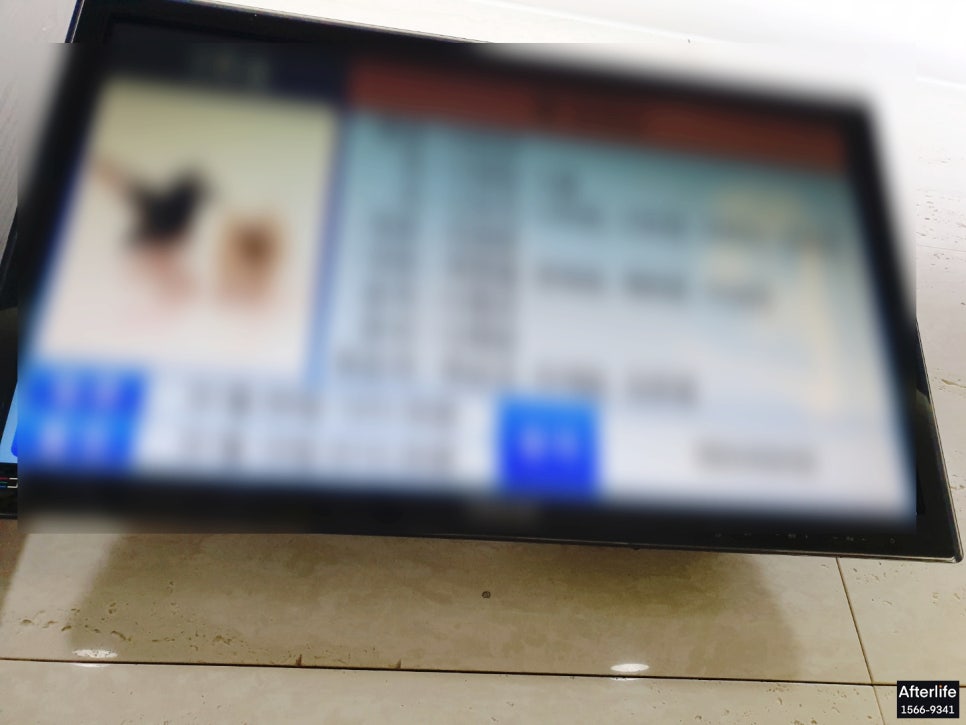 춘천상조 이미지