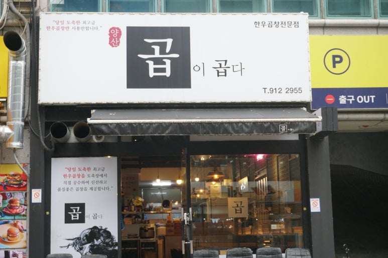 곱이곱다 이미지