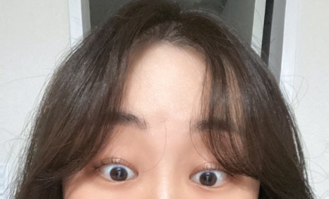디데이브로우 이미지