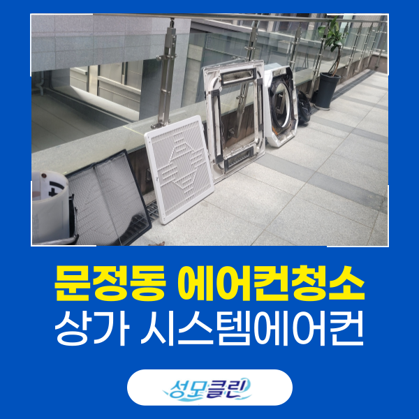 성모클린 이미지