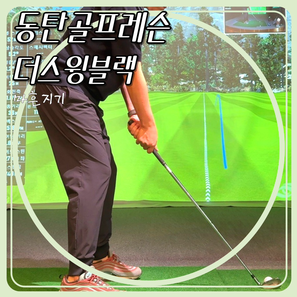 더스윙블랙동탄2 이미지