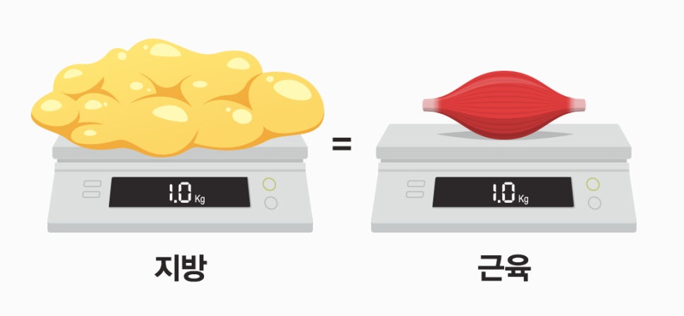 비티엘플러스 이미지