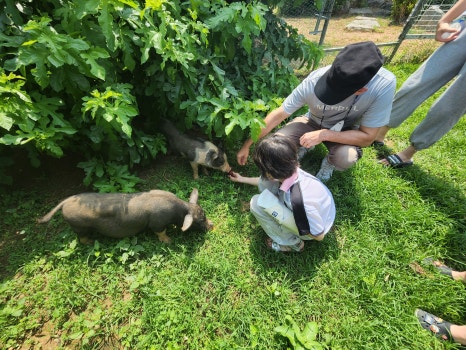 서동팜 이미지