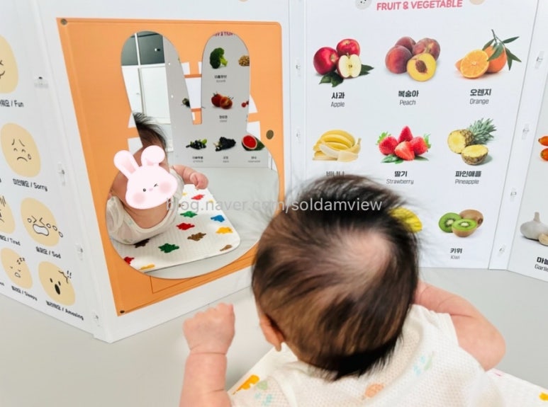 셔니츄 이미지