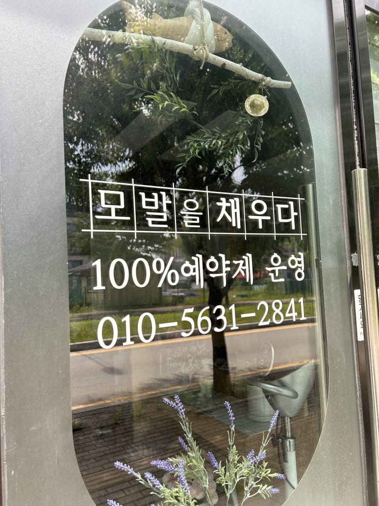 모발을 채우다 이미지