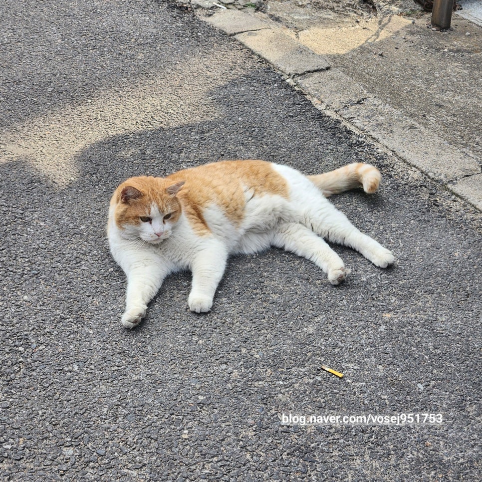핫브레드 학동역점 이미지
