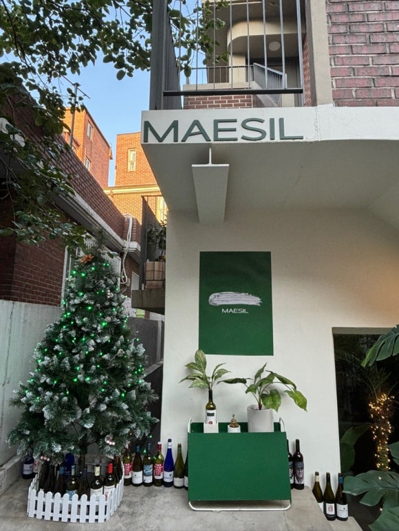 매실(maesil) 이미지