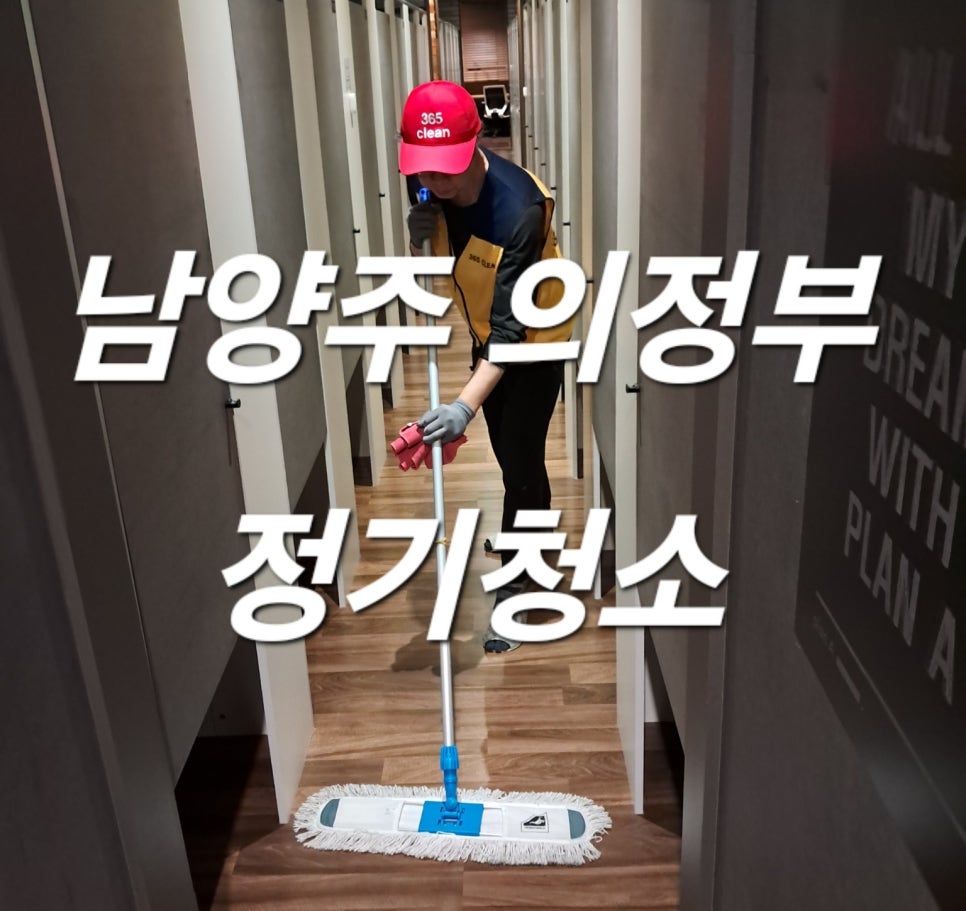 돌핀크린 이미지