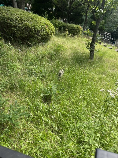 수덕토스트 이미지