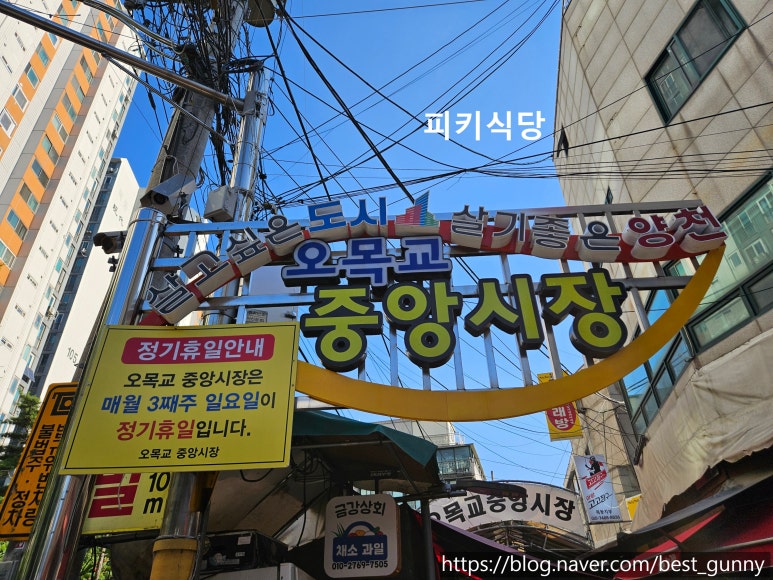 양천국 이미지