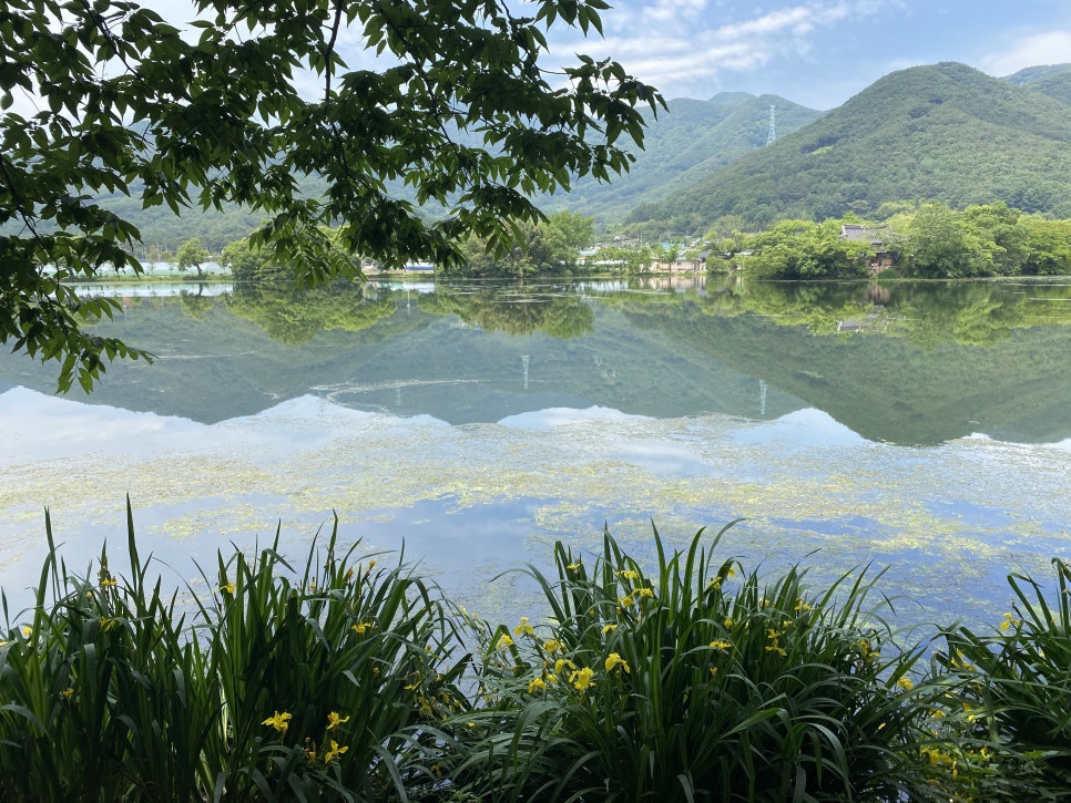 밀양 위양지 가볼만한곳 주차, 카페 : 네이버 블로그