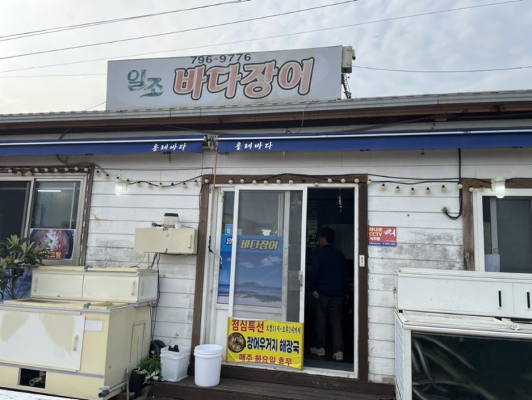 일조바다장어 이미지
