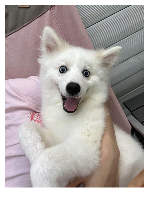 철장커뮤니티 이미지