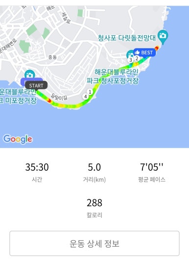 고릴라 비치 이미지