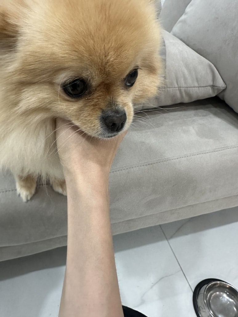 네일위드502 이미지