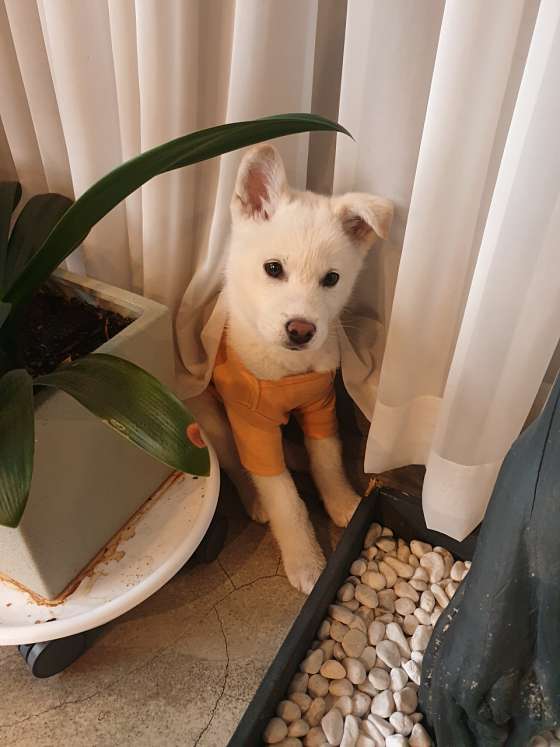 커피89도씨 이미지