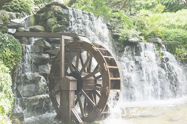 속리산손칼국수 이미지