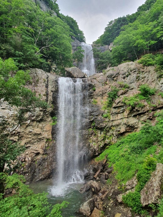 사자평 이미지