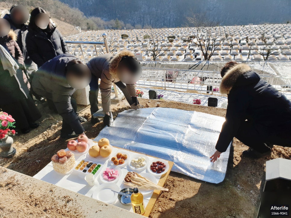 춘천상조 이미지