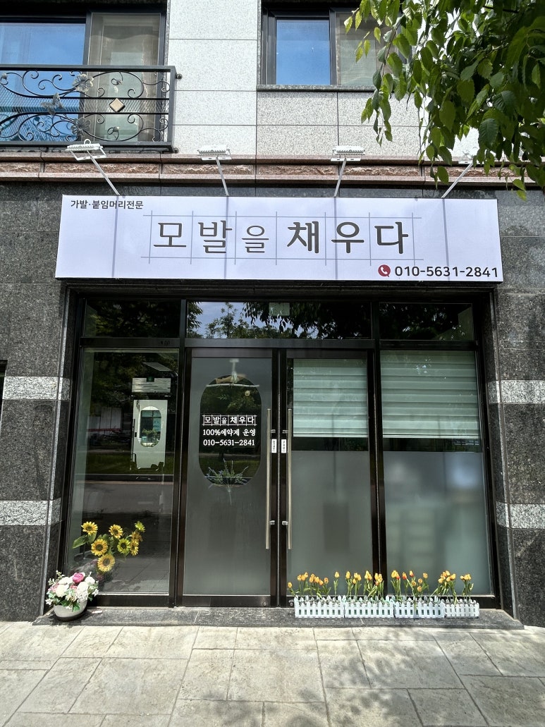 모발을 채우다 이미지