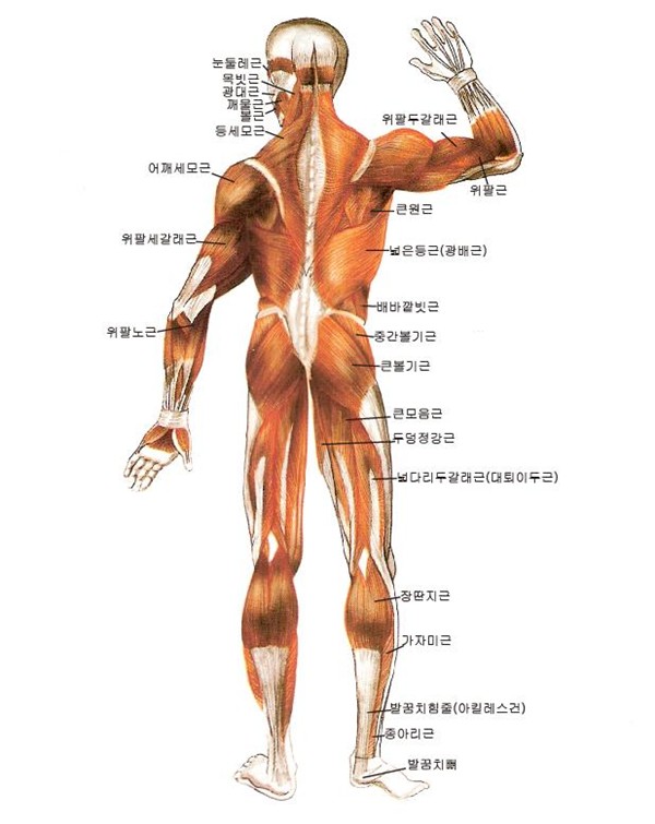 와이비 이미지