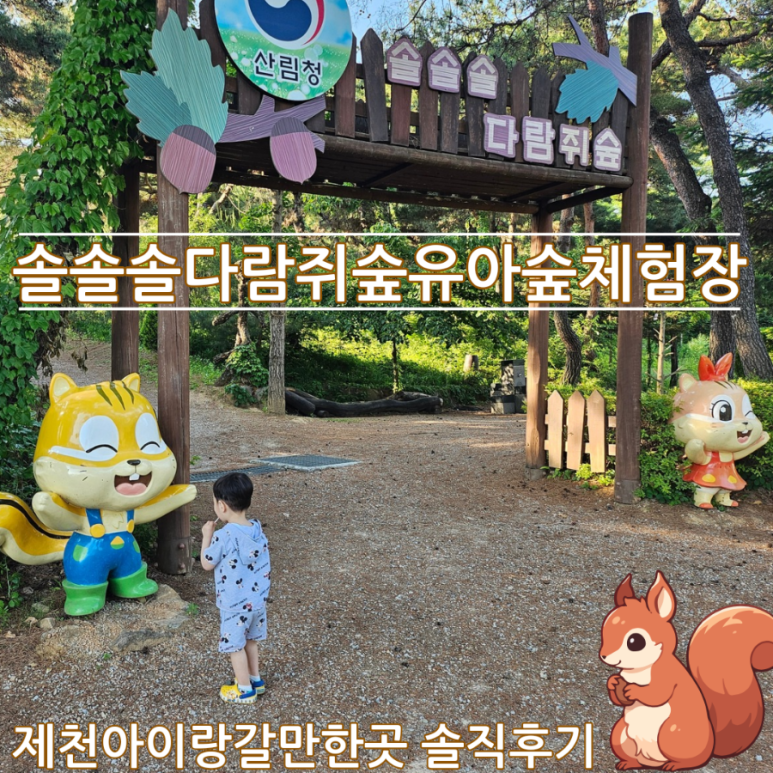 솔솔솔 다람쥐숲 유아숲체험원 이미지
