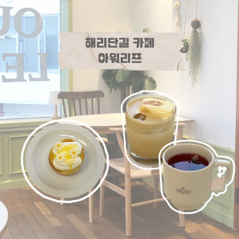 아워리프 이미지