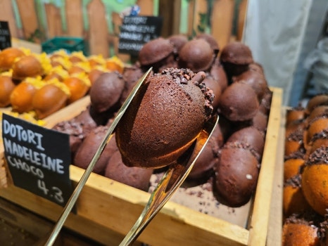 카페도토리 이미지