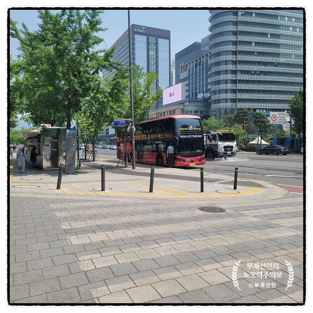 글로카로카 이미지