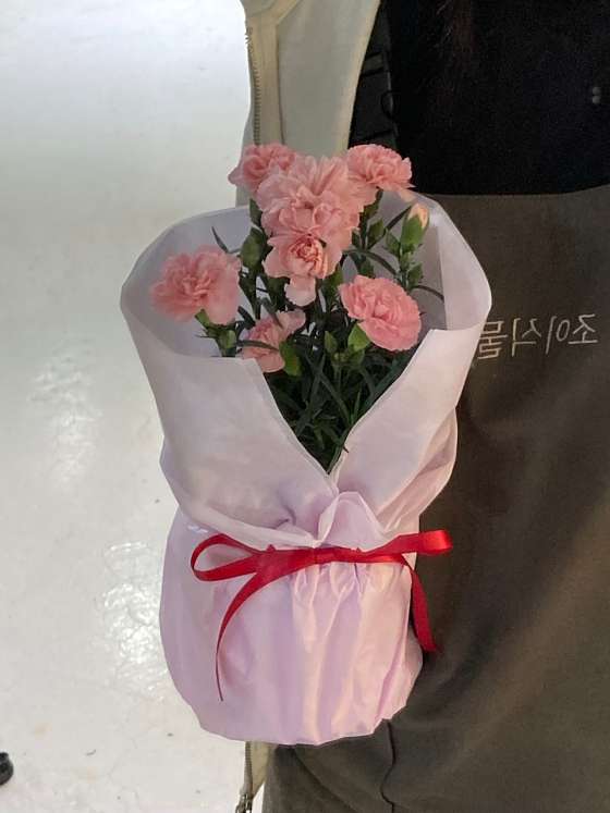 조이식물 이미지