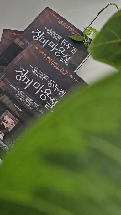 장미미용실 이미지
