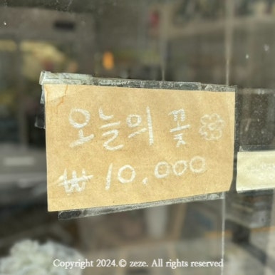 빈티지꽃피다 이미지