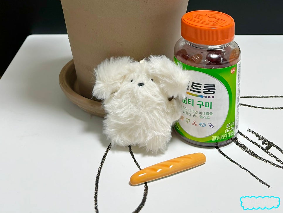 꼬모다미 이미지