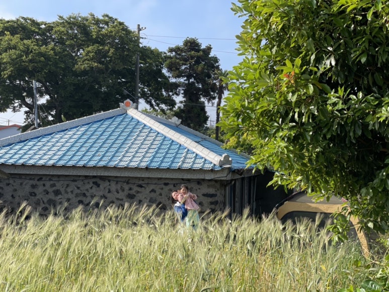 제주조우아조수 이미지