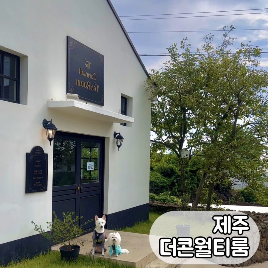 더콘월티룸 이미지