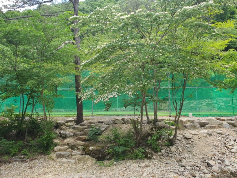 숲750 이미지