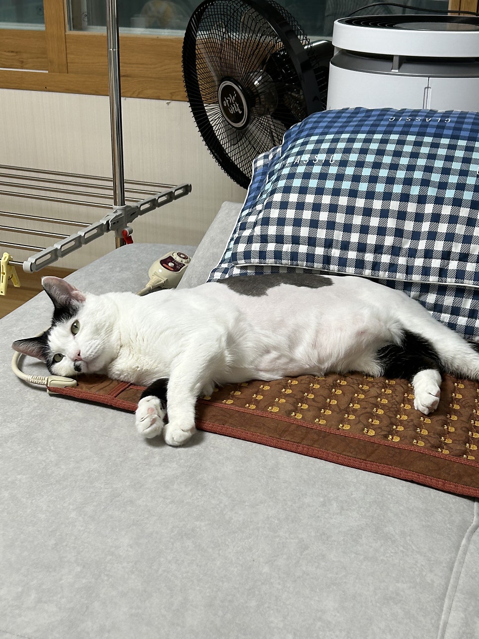 명진닭한마리 이미지