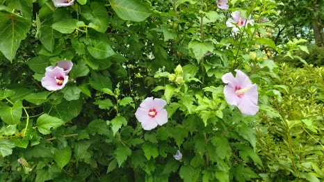 준일환경 이미지