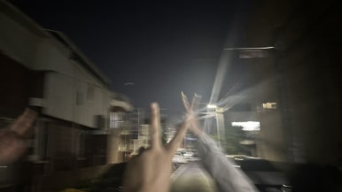 시집못간꽃돼지 이미지