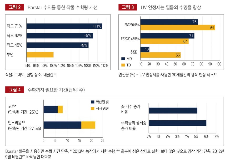 베이스타 이미지