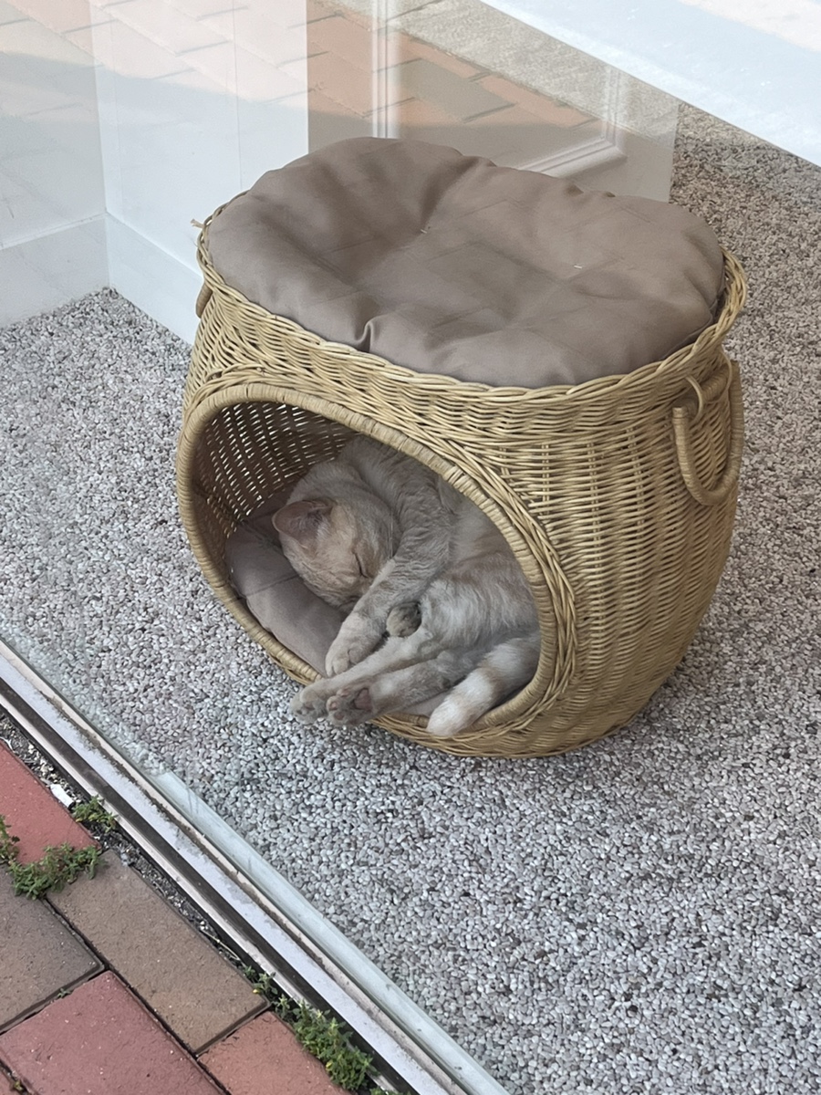 유주비주 이미지
