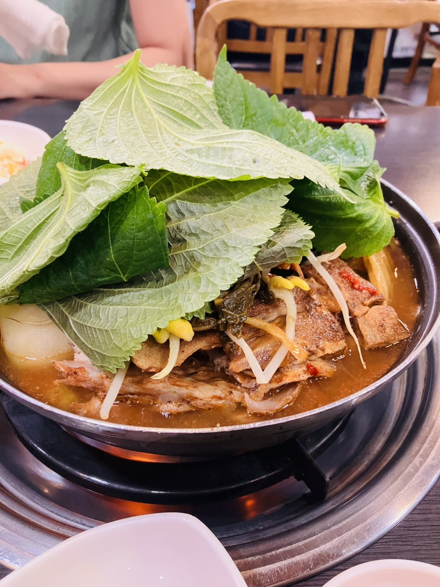 산스 이미지