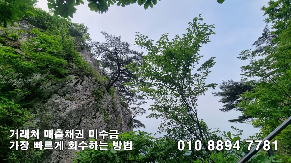 변호사이율법률사무소 이미지
