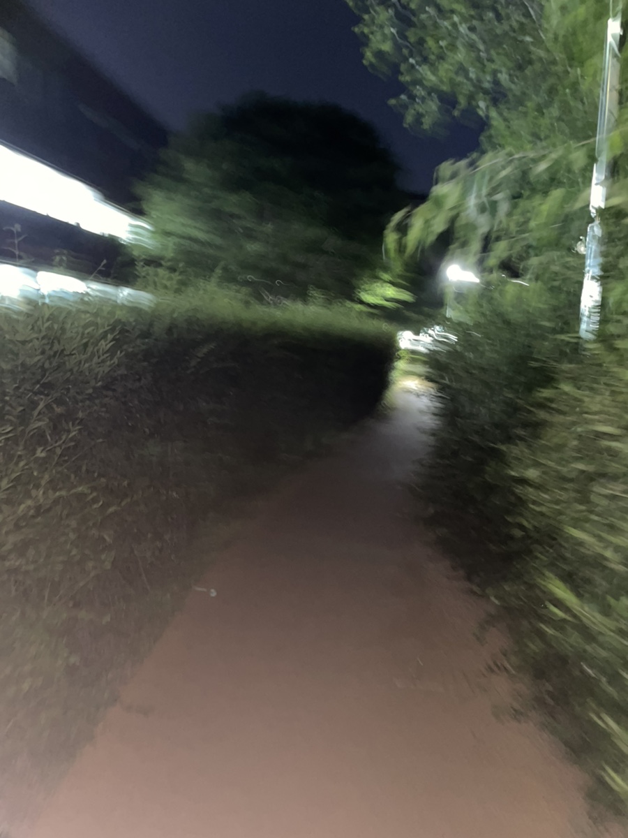 올리몰리 베이커리 이미지