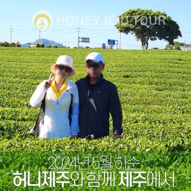 제주다정여행사 이미지