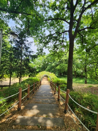무양공원 유아숲체험원 이미지