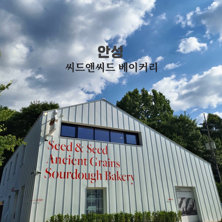 씨드앤씨드 베이커리 이미지